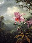 Martin Johnson Heade Hummingbird Perched on an Orchid Plant painting